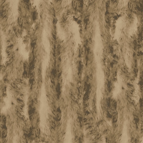 Mesmerizing Chinchilla Softest Fur Picture Art Mesmerizing Chinchilla Softest Fur Picture Art