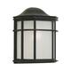 1-Light Black Outdoor Wall Lantern with White Acrylic Panel