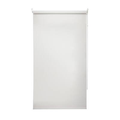 Blackout Window Shade in Beige