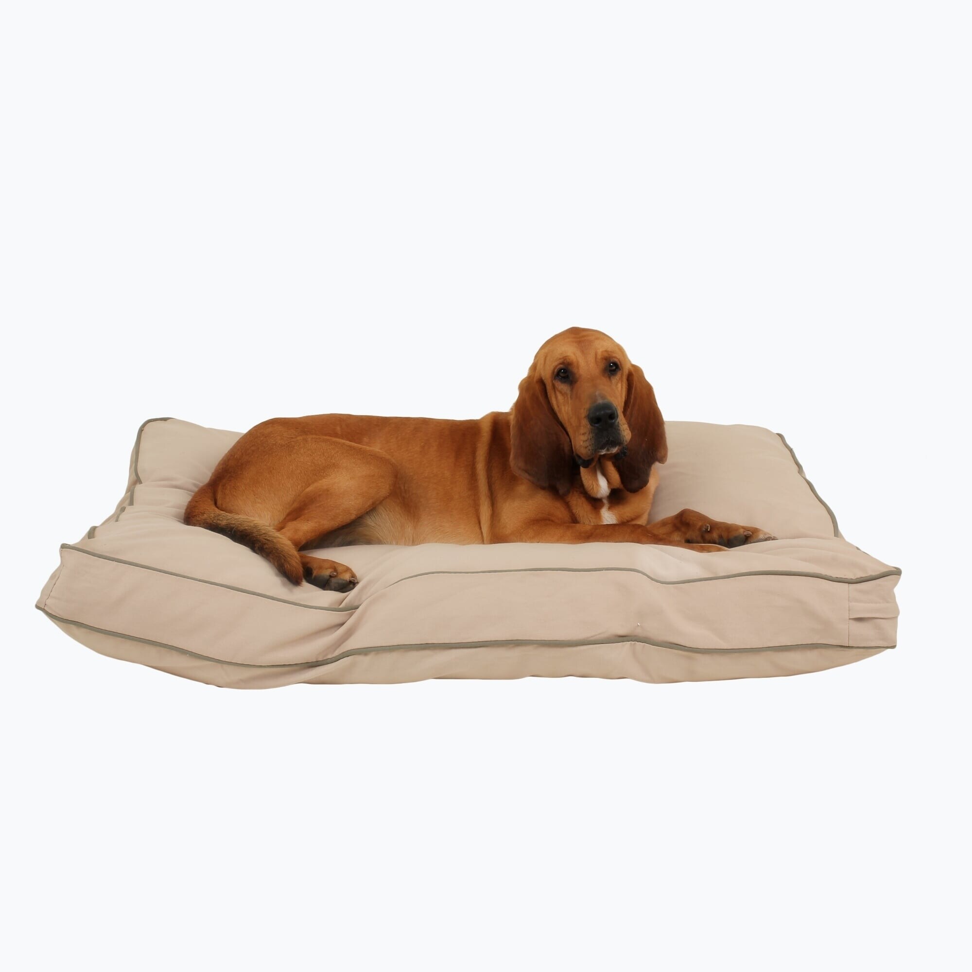 Carolina Pet Company Large Red Indoor/Outdoor Striped Jamison Bed
