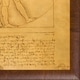 La Pastiche by overstockArt Vitruvian Man by Leonardo Da Vinci with ...