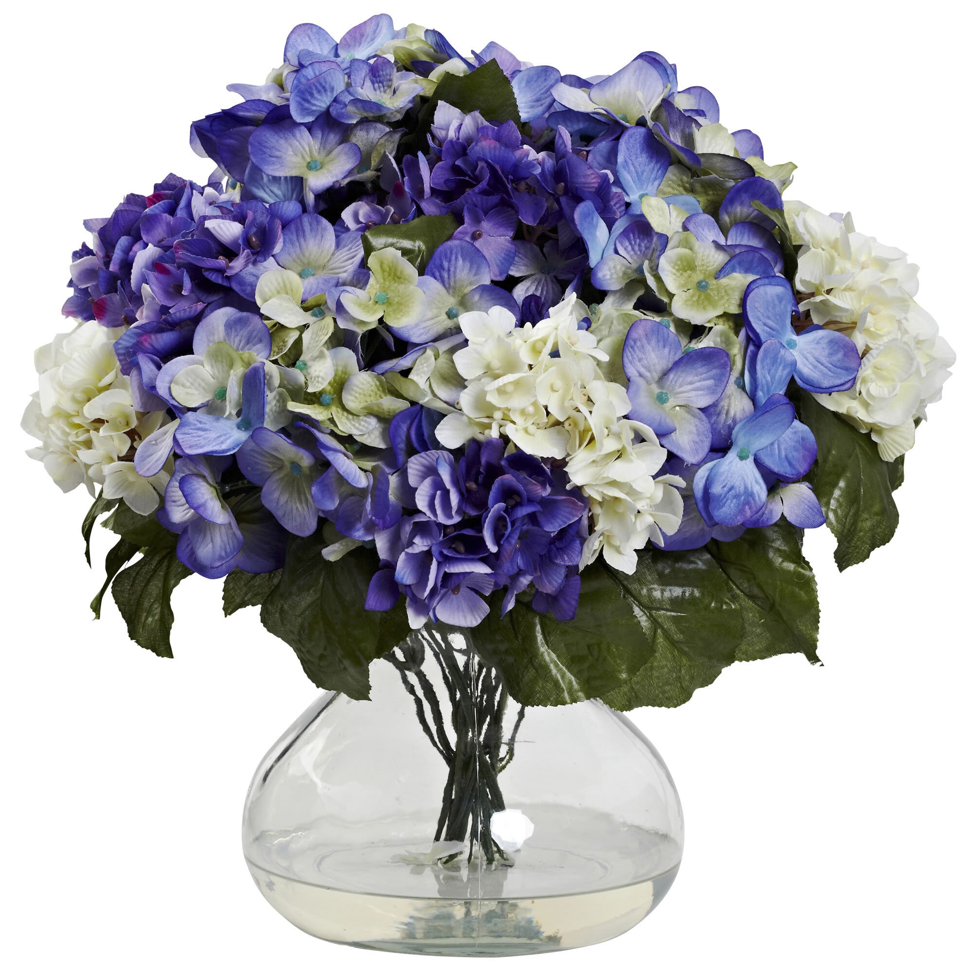 Hydrangea4936　0705 Hydrangea Quercifolia Ruby Slippers Oakleaf Hydrangea