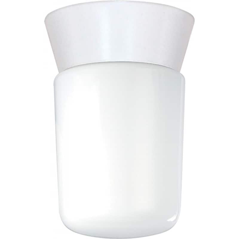 1-Light Utility Ceiling Mount