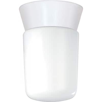 1-Light Utility Ceiling Mount