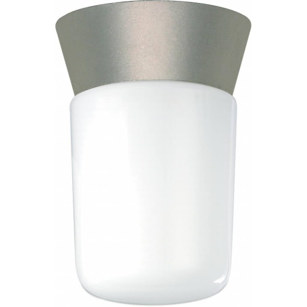 1-Light Utility Ceiling Mount