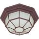 1-Light 12 Spider Cage Ceiling