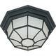 1-Light 12 Spider Cage Ceiling