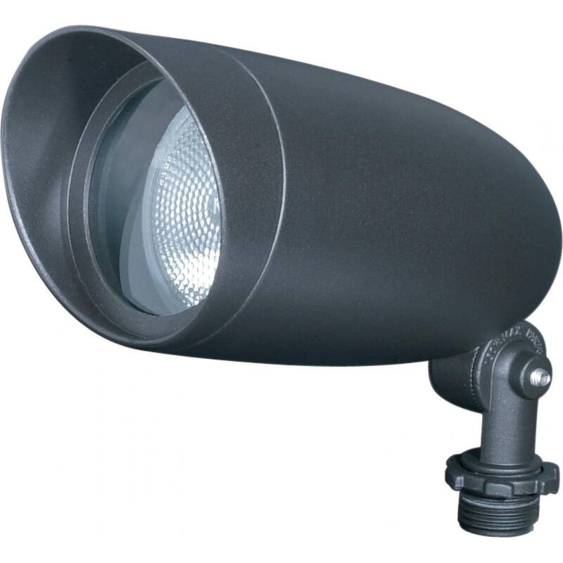 1 Light PAR20 Landscape Flood