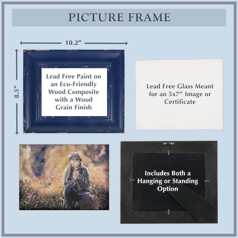 DII Farmhouse Distress Picture Frame
