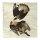 Brasilian Caracara Eagle Napkin - Bed Bath & Beyond - 28523103