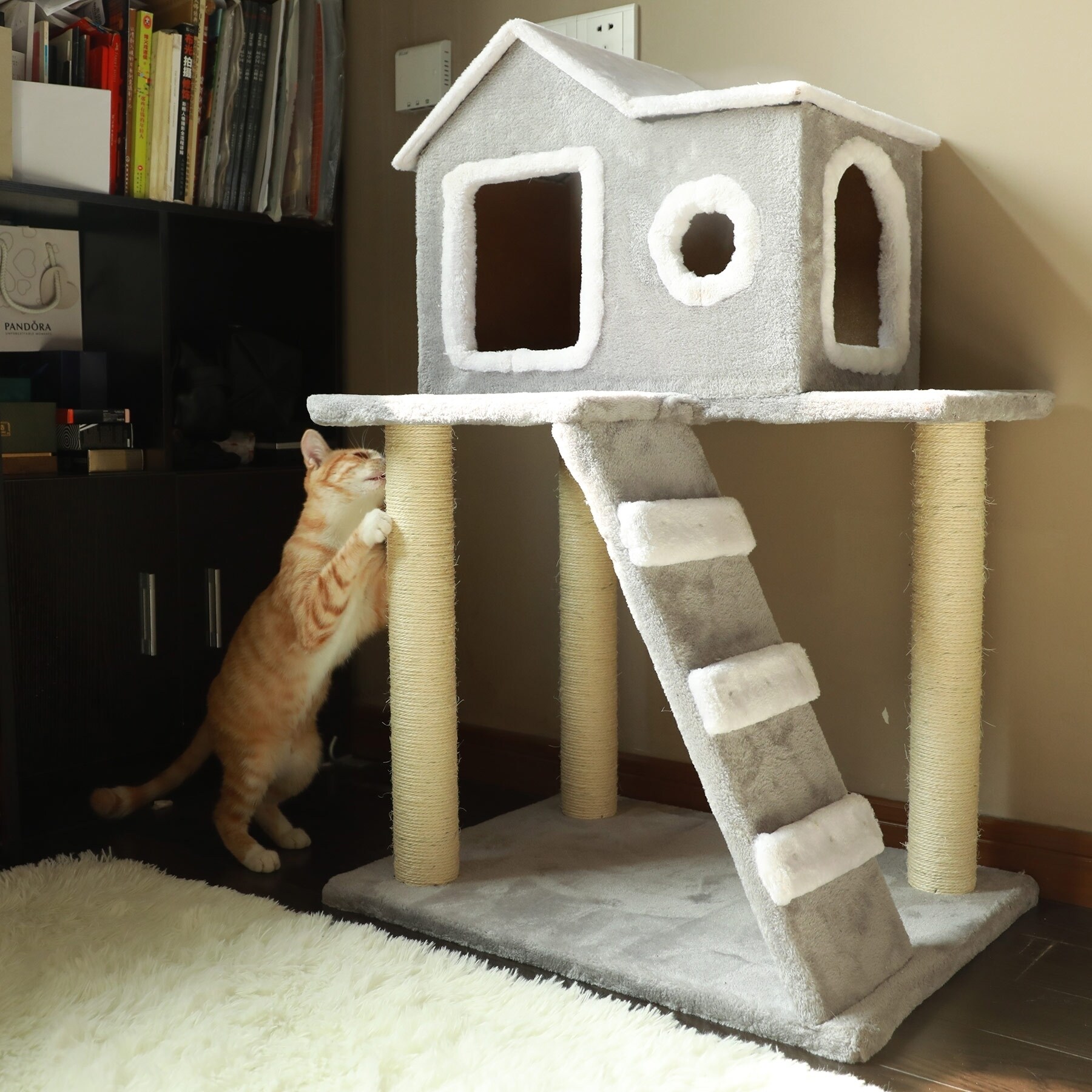 cat house scratching post