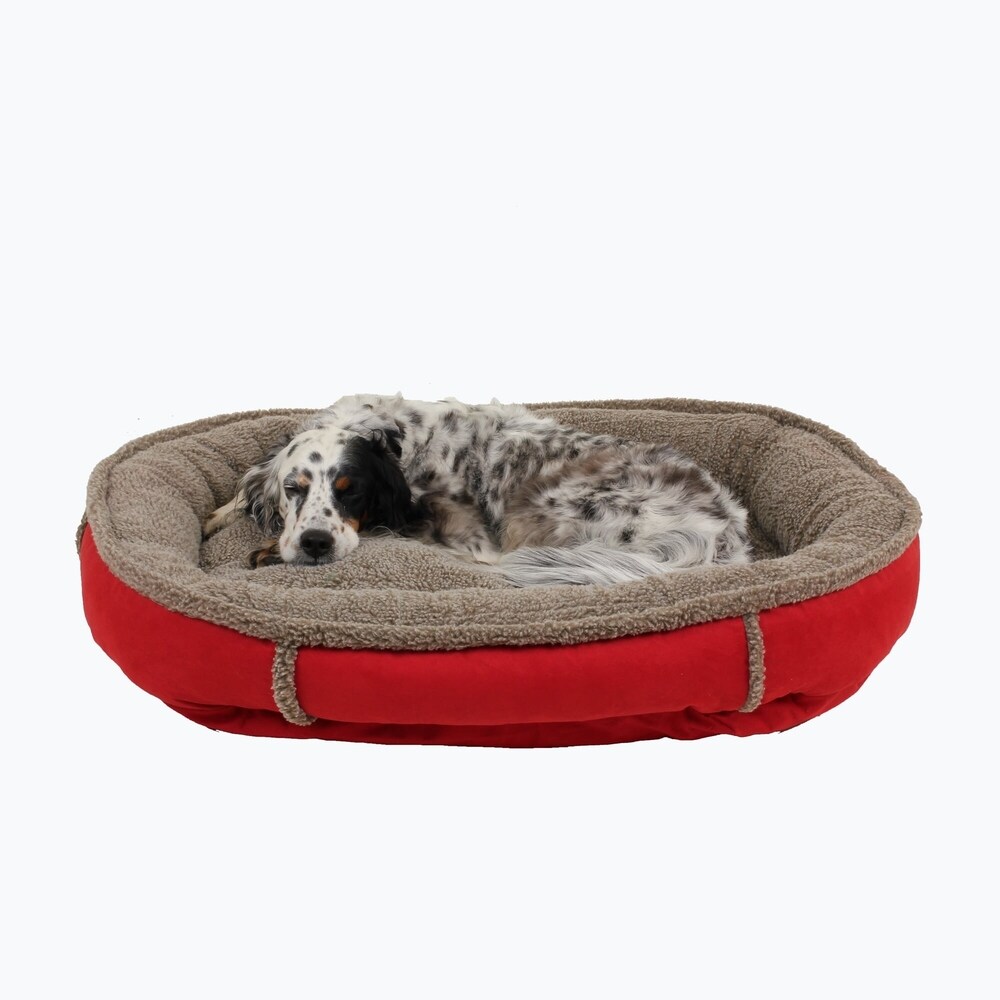pet beds online