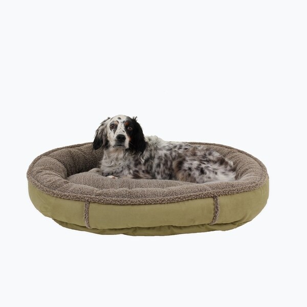 sage green dog bed