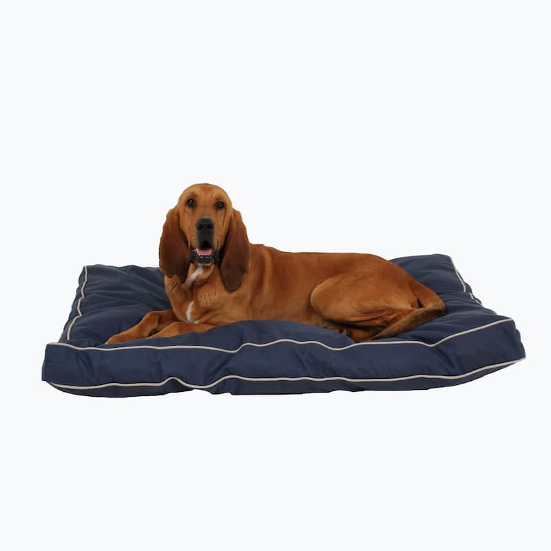 Carolina Pet Classic Rectangle Jamison Orthopedic Napper - Large (48"x36"x4") - Blue