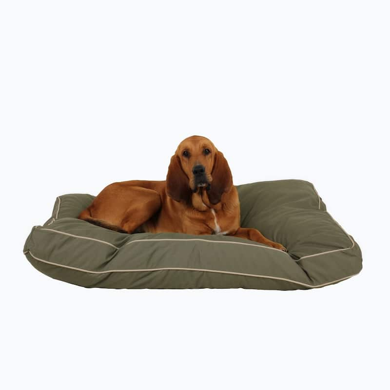 Carolina Pet Classic Rectangle Jamison Orthopedic Napper - Large (48"x36"x4") - Sage