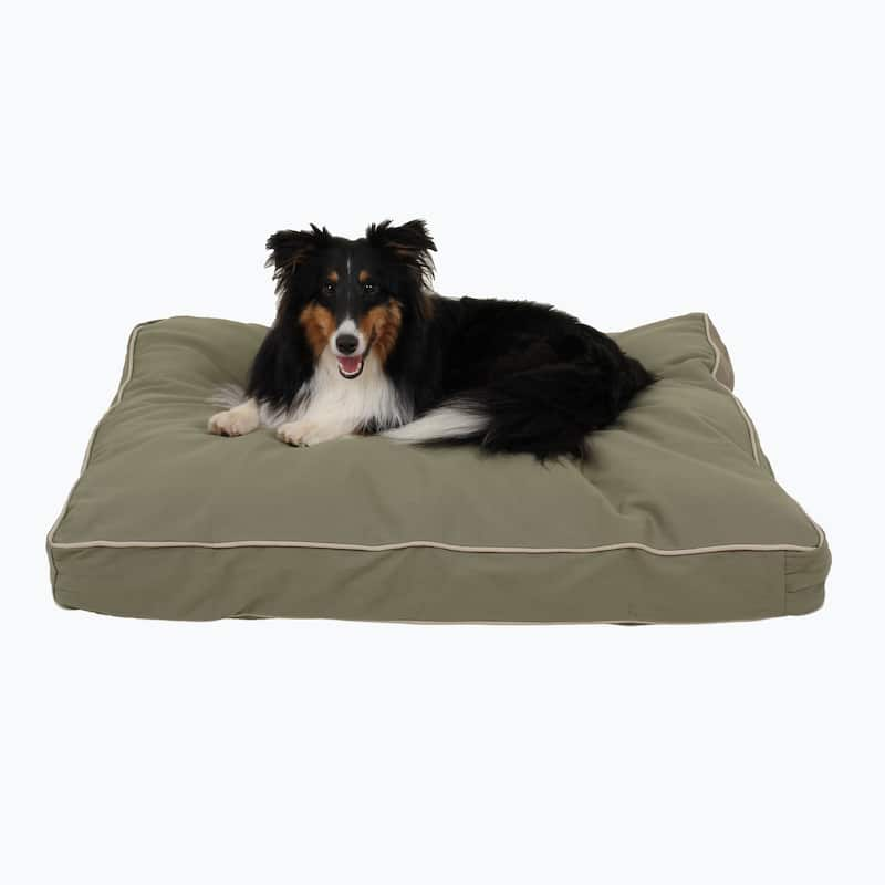 Carolina Pet Classic Rectangle Jamison Orthopedic Napper - Small (36"x27"x4") - Sage