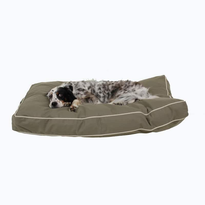 Carolina Pet Classic Rectangle Jamison Orthopedic Napper - Medium (42"x30"x4") - Sage