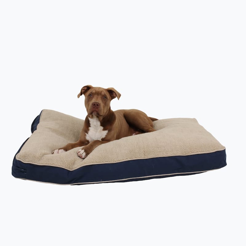 Carolina Pet Four Season Jamison Orthopedic Napper - Medium (42"x30"x4") - Blue