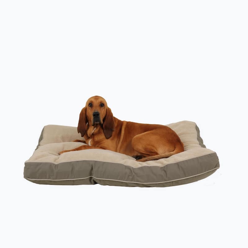 Carolina Pet Four Season Jamison Orthopedic Napper - Large (48"x36"x4") - Sage