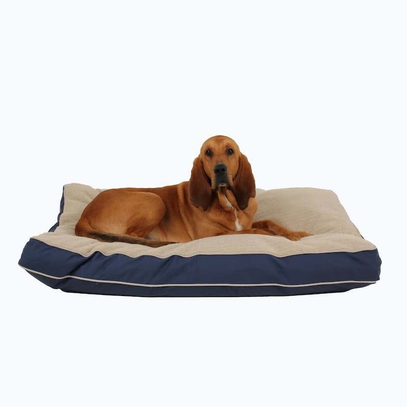 Carolina Pet Four Season Jamison Orthopedic Napper - Large (48"x36"x4") - Blue