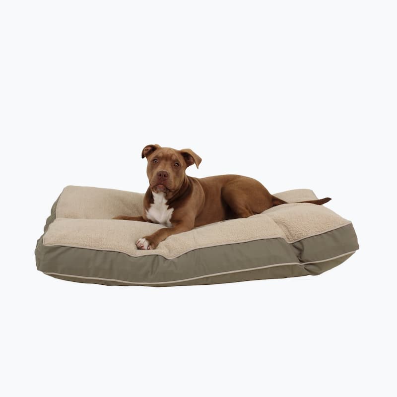 Carolina Pet Four Season Jamison Orthopedic Napper - Medium (42"x30"x4") - Sage