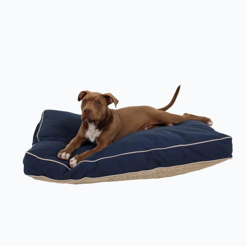 Carolina Pet Four Season Jamison Orthopedic Napper
