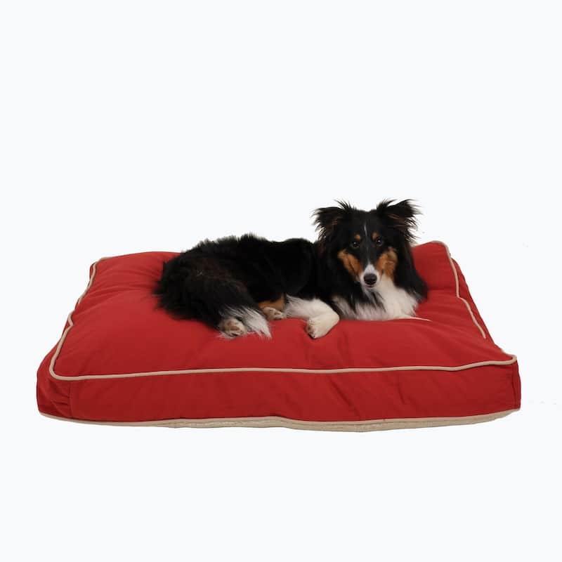 Carolina Pet Four Season Jamison Orthopedic Napper
