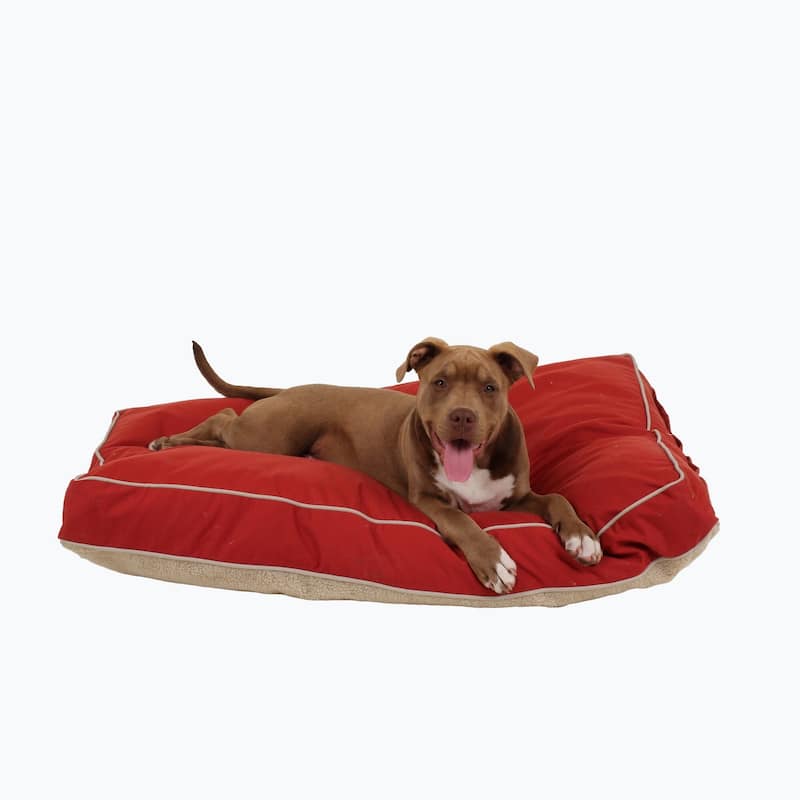 Carolina Pet Four Season Jamison Orthopedic Napper