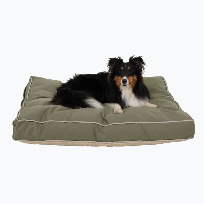 Carolina Pet Four Season Jamison Orthopedic Napper