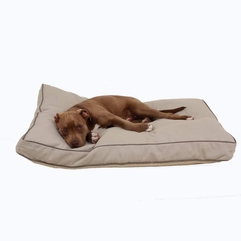 Carolina Pet Four Season Jamison Orthopedic Napper