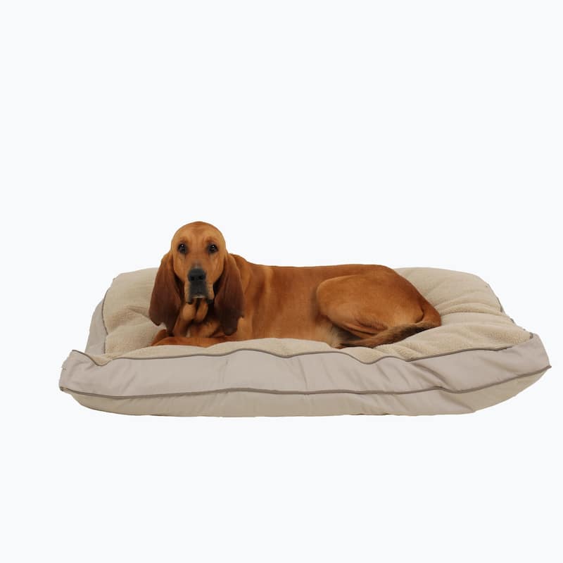 Carolina Pet Four Season Jamison Orthopedic Napper - Large (48"x36"x4") - Khaki