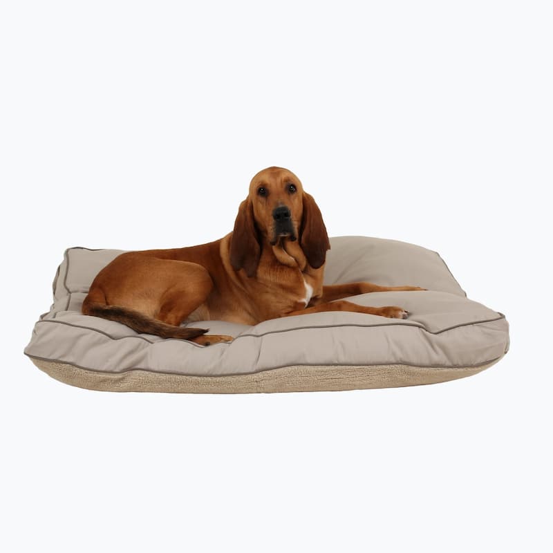 Carolina Pet Four Season Jamison Orthopedic Napper