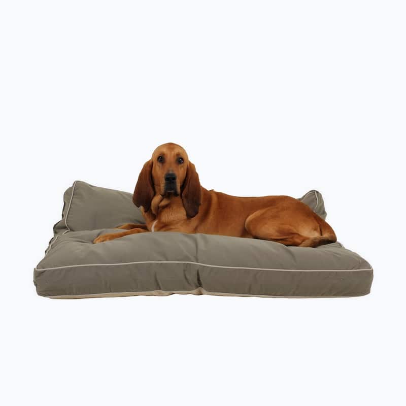 Carolina Pet Four Season Jamison Orthopedic Napper