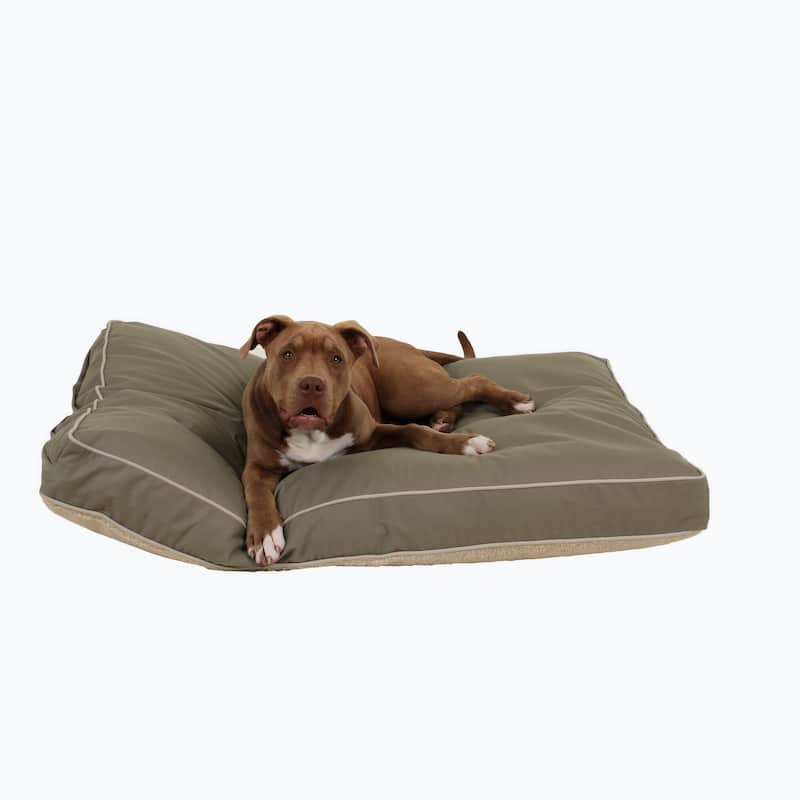 Carolina Pet Four Season Jamison Orthopedic Napper
