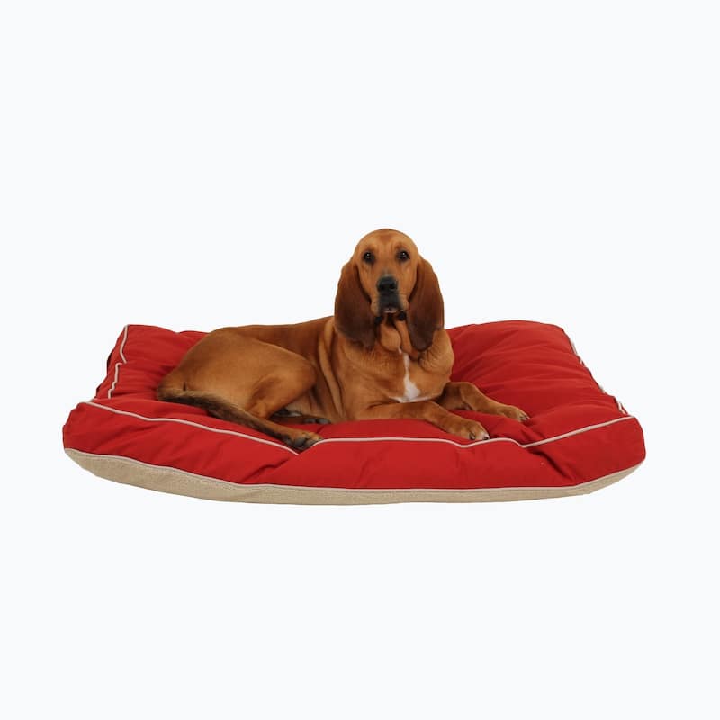 Carolina Pet Four Season Jamison Orthopedic Napper