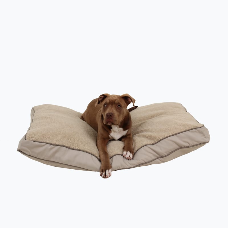 Carolina Pet Four Season Jamison Orthopedic Napper - Medium (42"x30"x4") - Khaki