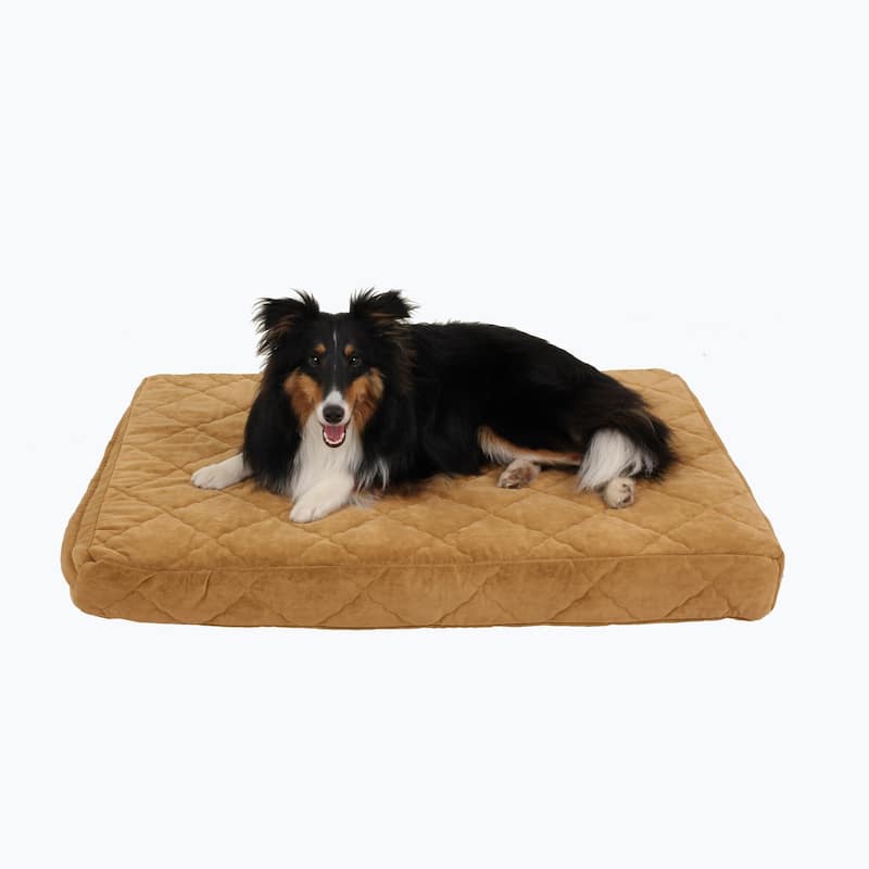 Carolina Pet Quilted Orthopedic Jamison Pet Bed - Small (36"x27"x4")