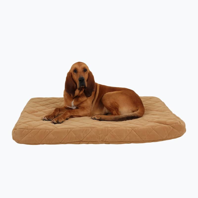 Carolina Pet Quilted Orthopedic Jamison Pet Bed - Large (48"x36"x4")