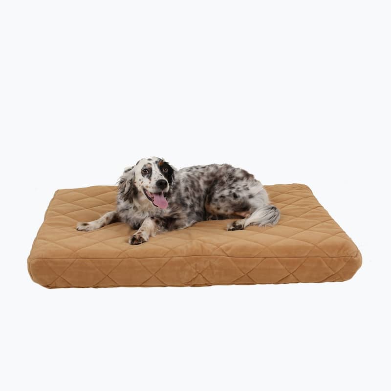 Carolina Pet Quilted Orthopedic Jamison Pet Bed - Medium (42"x30"x4")