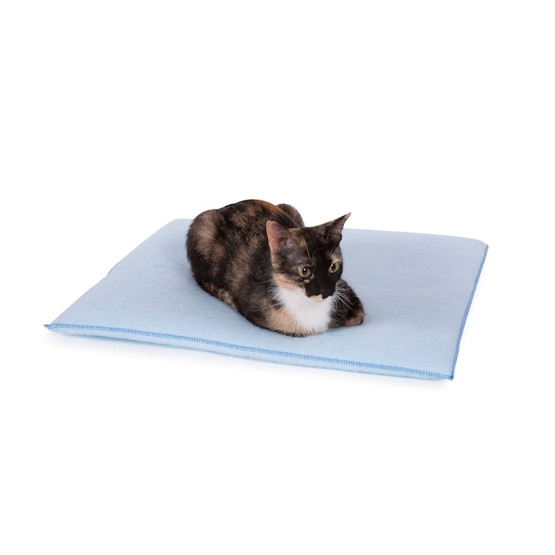 Carolina Pet Original Purr Padd Cat Bed - 20"x20"
