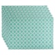 Option Aqua