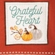 preview thumbnail 7 of 112, DII Assorted Fall Embroidered Dishtowel (Set of 3)