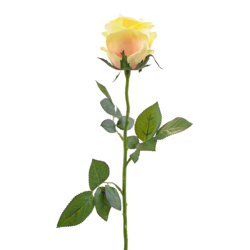 DII Closed Rose Flower (Set of 4)