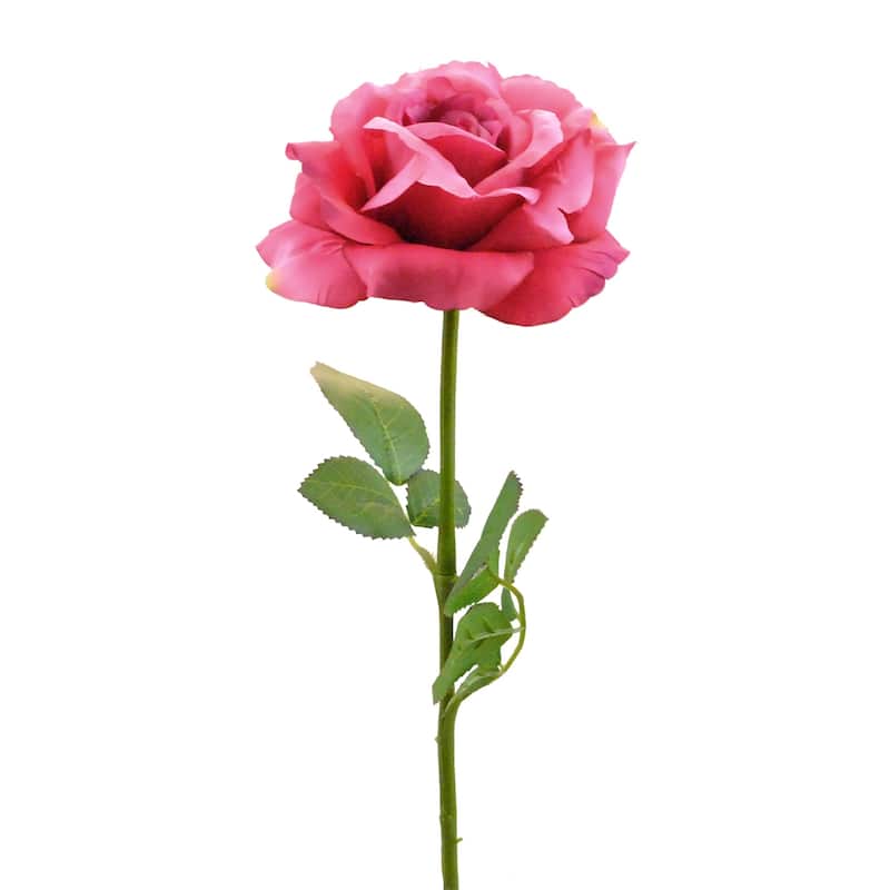 DII Open Rose (Set of 6)