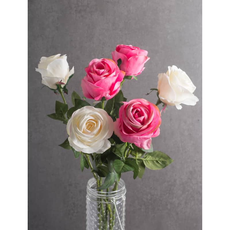 DII Open Rose (Set of 6)