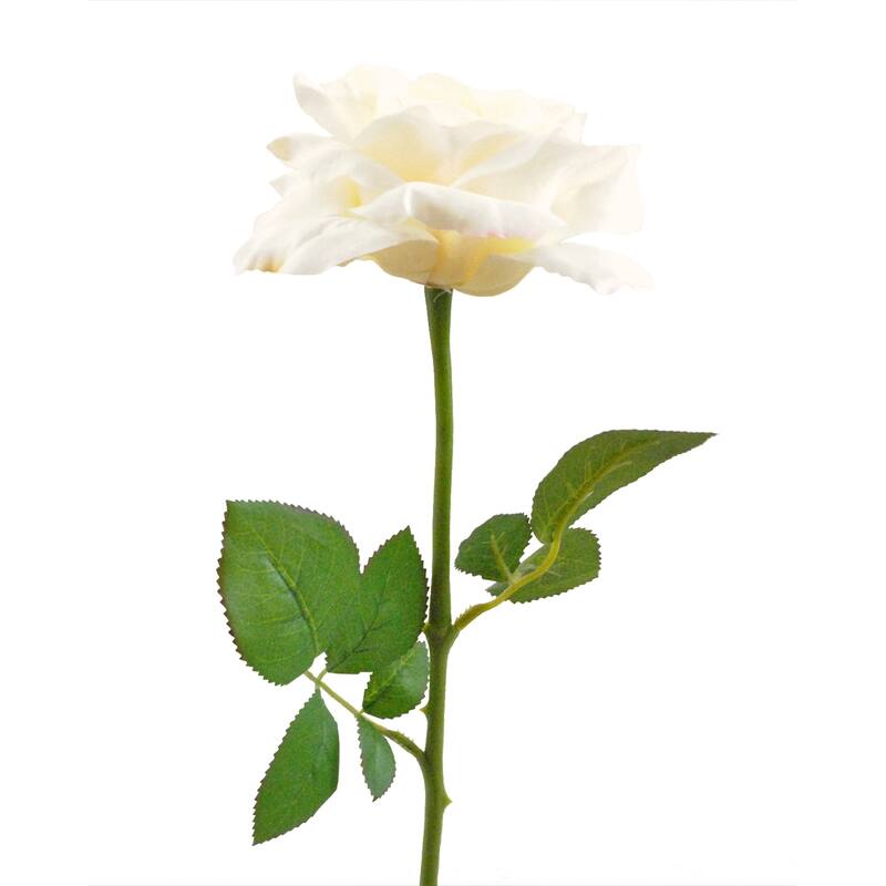 DII Open Rose (Set of 6)