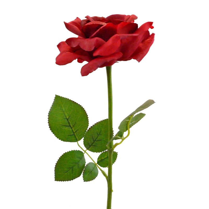 DII Open Rose (Set of 6)