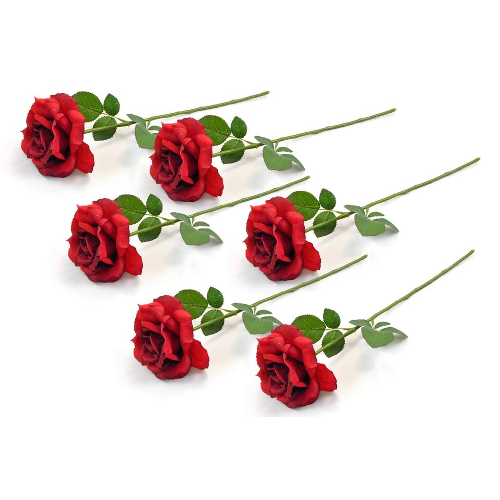 DII Open Rose (Set of 6)