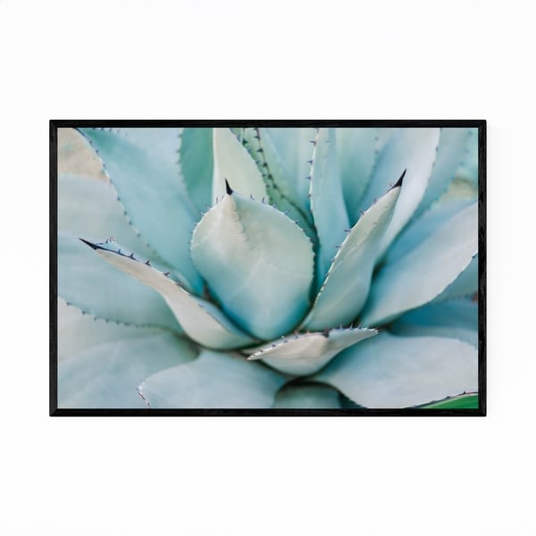 Noir Gallery Succulent Plant Floral Botanical Framed Art Print