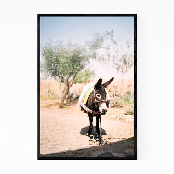 Noir Gallery Donkey Desert Animal Morocco Framed Art Print